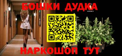 кокаин Новодвинск