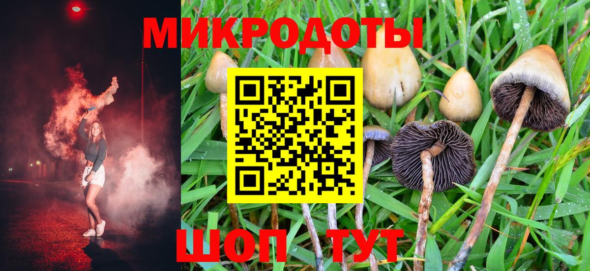 Псилоцибиновые грибы Cubensis  Вход с VPN  где купить   Псилоцибиновые грибы ЛСД  Советская Гавань 